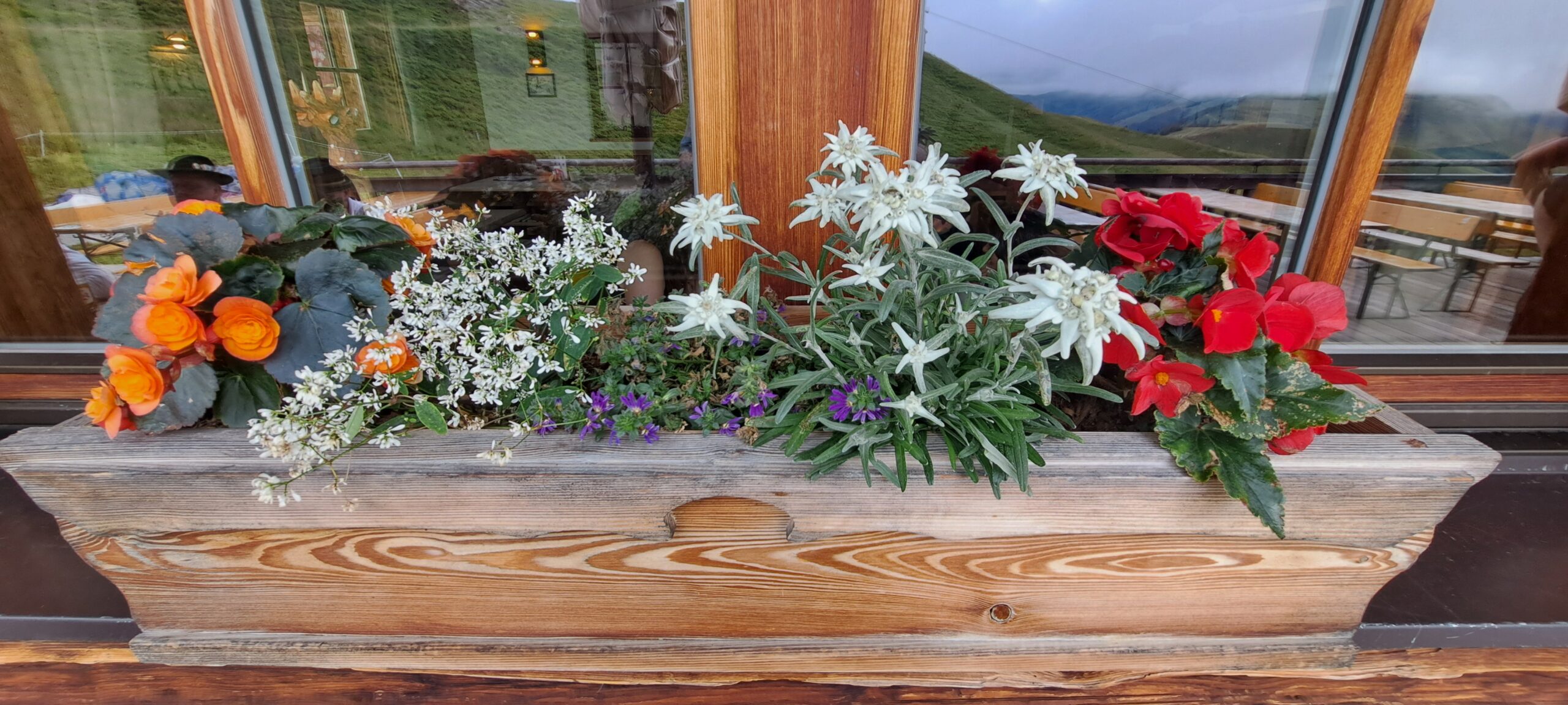 Rejserog.dk - MC rejser for alle.