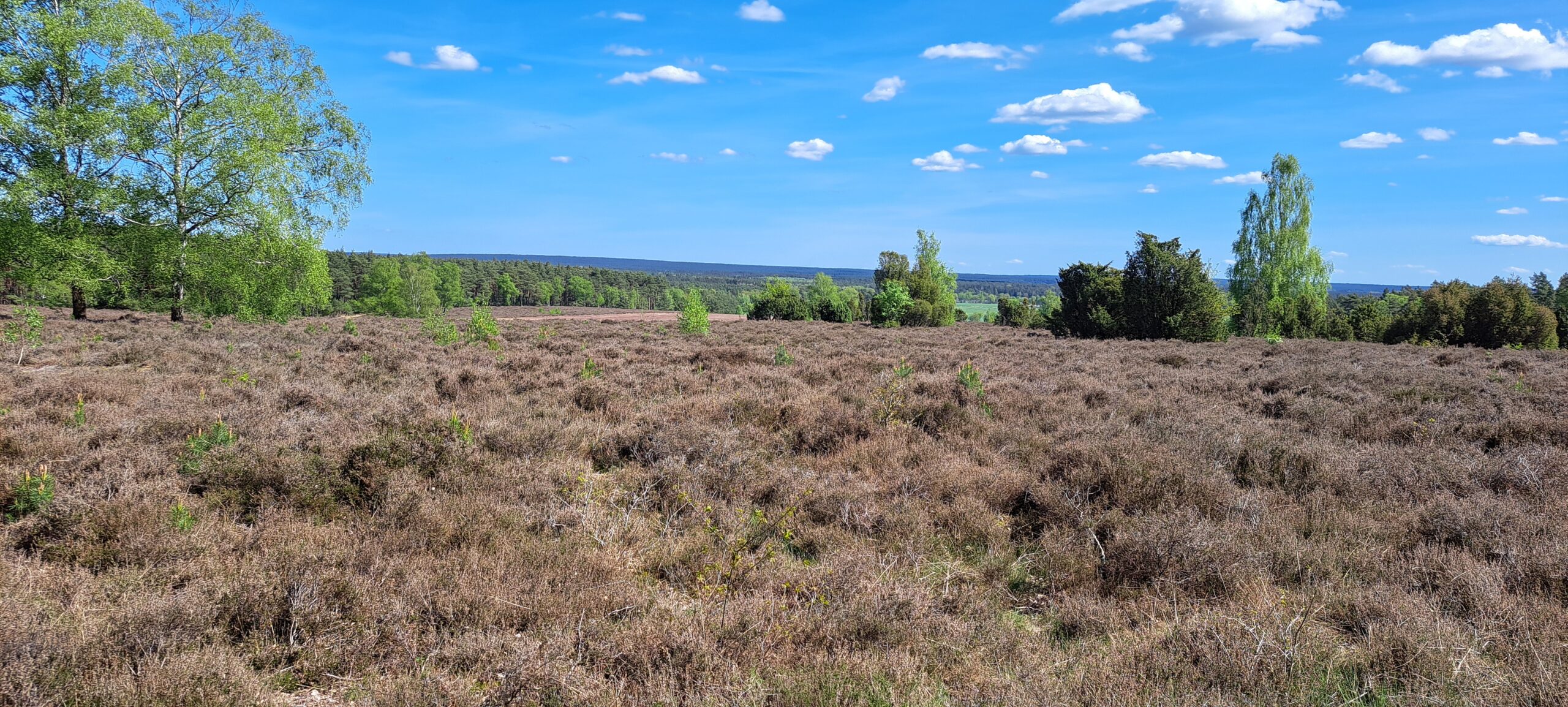 Rejserog.dk Rejserog.dk