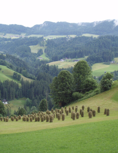Rejserog.dk - Zillertal.