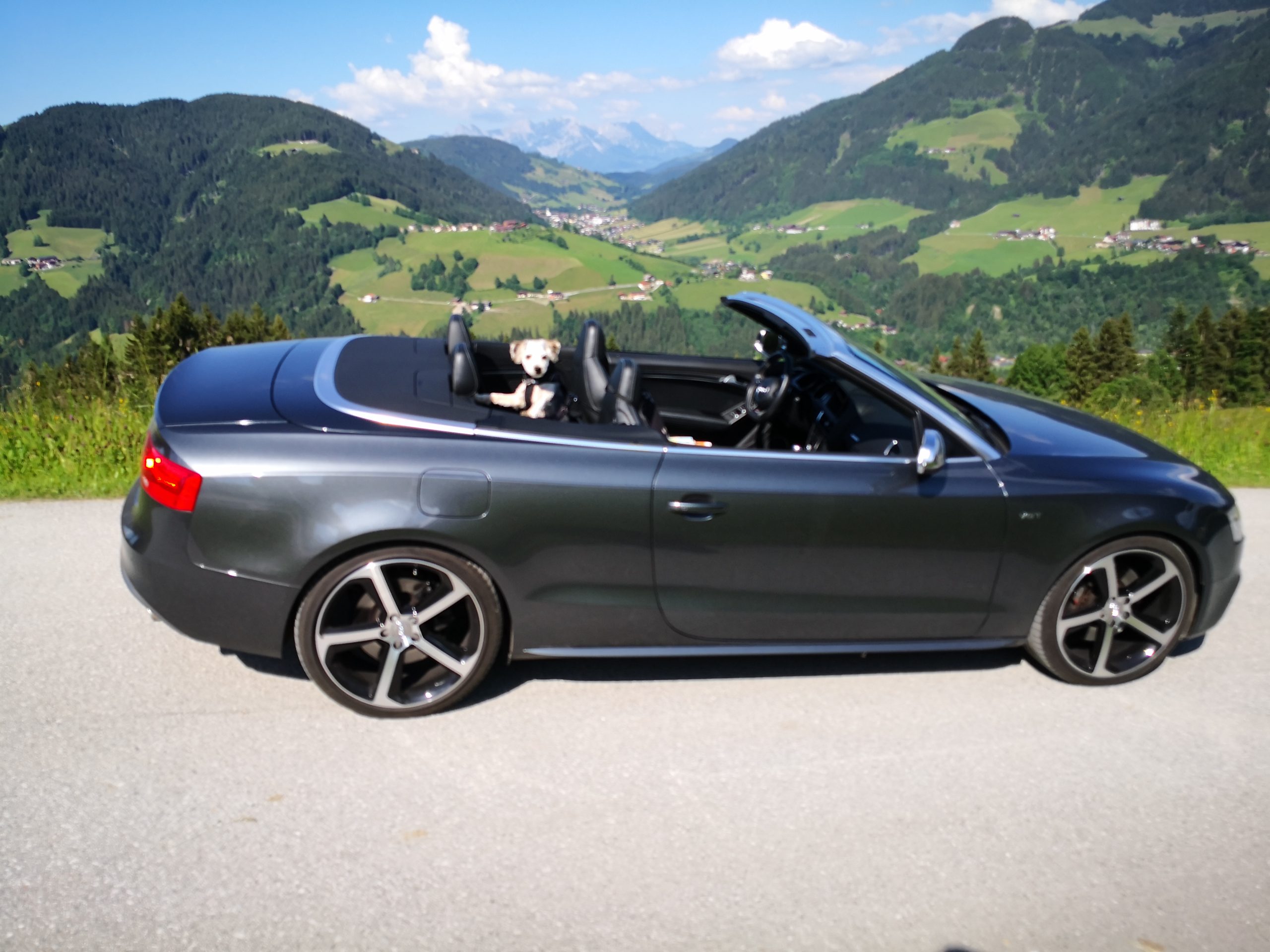 Rejserog.dk. Snescooterrejser.dk, Snescooter safari, Lapland, den mest solgte rejse, alle kan deltage, plads til bagsædepassager, Klassisk snescooter rejse 2025 dansk turleder, 