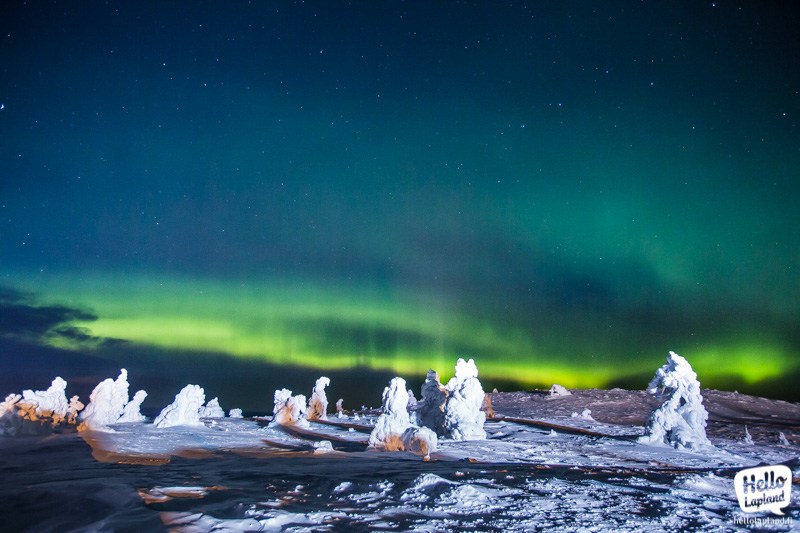 Snescooter rejse med dansk turleder.